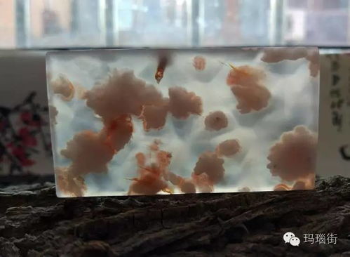 自然繪卷 健身器材上的天然藝術畫風