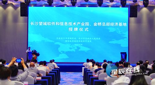 望城軟件園揚(yáng)帆起航，專項(xiàng)扶持政策助力信息技術(shù)服務(wù)業(yè)騰飛